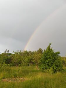 ВЕСЕЛКА ЯК СИМВОЛ І ЯК ФІЗИЧНЕ ЯВИЩЕ